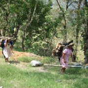 Cuauxicala _huauchinango03